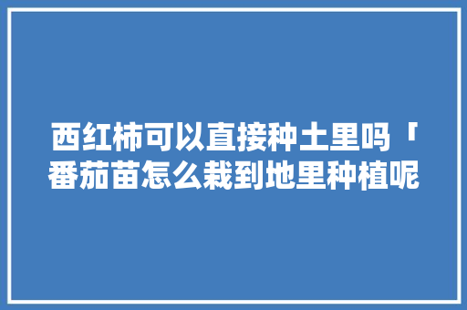 西红柿可以直接种土里吗「番茄苗怎么栽到地里种植呢」 西红柿可以直接种土里吗「番茄苗怎么栽到地里种植呢」 土壤施肥