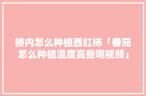 楼内怎么种植西红柿「番茄怎么种植温度高些呢视频」 楼内怎么种植西红柿「番茄怎么种植温度高些呢视频」 农业常识
