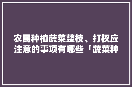 农民种植蔬菜整枝、打杈应注意的事项有哪些「蔬菜种植技巧动画小视频大全」