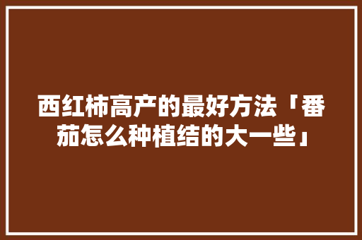 西红柿高产的最好方法「番茄怎么种植结的大一些」