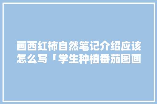 画西红柿自然笔记介绍应该怎么写「学生种植番茄图画怎么画好看」 画西红柿自然笔记介绍应该怎么写「学生种植番茄图画怎么画好看」 花朵知识
