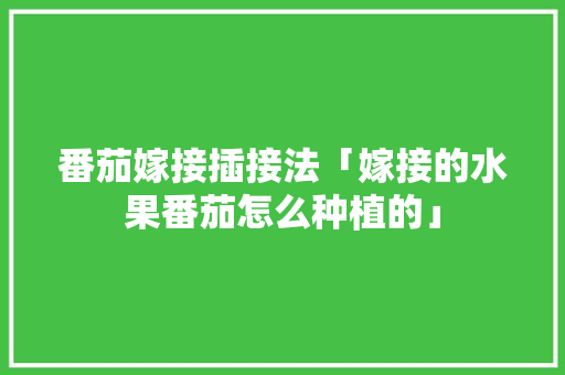 番茄嫁接插接法「嫁接的水果番茄怎么种植的」 番茄嫁接插接法「嫁接的水果番茄怎么种植的」 番茄种植技巧