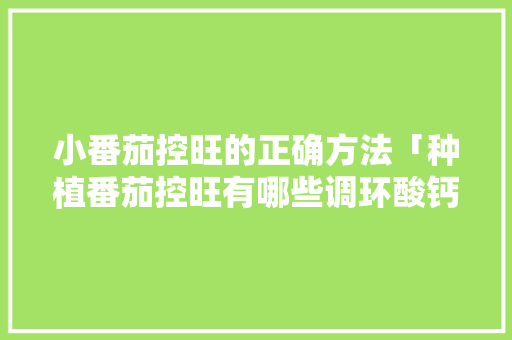 小番茄控旺的正确方法「种植番茄控旺有哪些调环酸钙还有哪几种药物」