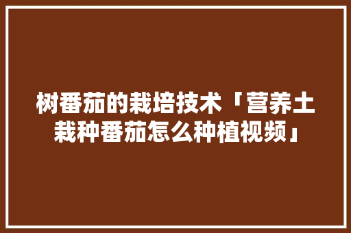 树番茄的栽培技术「营养土栽种番茄怎么种植视频」 树番茄的栽培技术「营养土栽种番茄怎么种植视频」 花朵知识