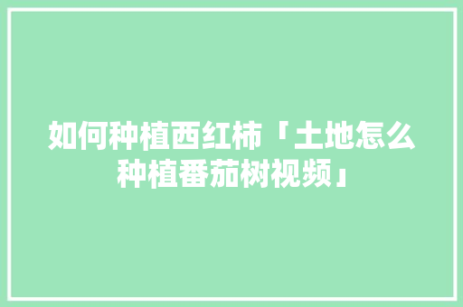 如何种植西红柿「土地怎么种植番茄树视频」 农业常识 如何种植西红柿「土地怎么种植番茄树视频」 如何种植西红柿「土地怎么种植番茄树视频」 农业常识