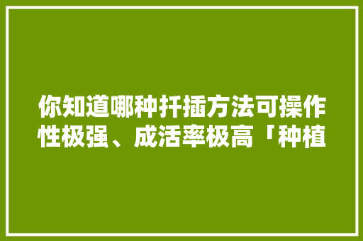 你知道哪种扦插方法可操作性极强、成活率极高「种植番茄竹签怎么插枝的视频」 你知道哪种扦插方法可操作性极强、成活率极高「种植番茄竹签怎么插枝的视频」 花朵知识