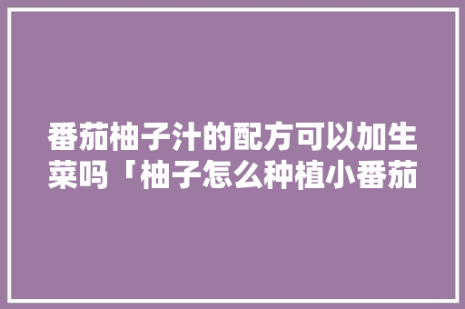番茄柚子汁的配方可以加生菜吗「柚子怎么种植小番茄种子图片」