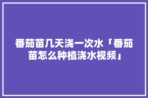 番茄苗几天浇一次水「番茄苗怎么种植浇水视频」 番茄苗几天浇一次水「番茄苗怎么种植浇水视频」 农业常识