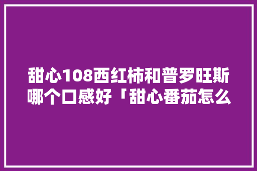 甜心108西红柿和普罗旺斯哪个口感好「甜心番茄怎么种植的」