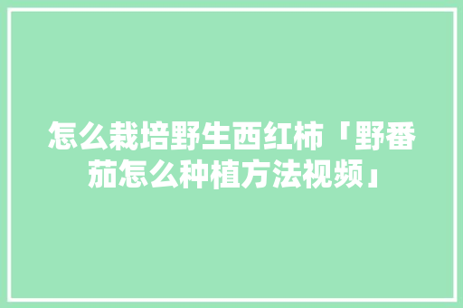 怎么栽培野生西红柿「野番茄怎么种植方法视频」 怎么栽培野生西红柿「野番茄怎么种植方法视频」 种植技巧