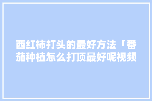 西红柿打头的最好方法「番茄种植怎么打顶最好呢视频」