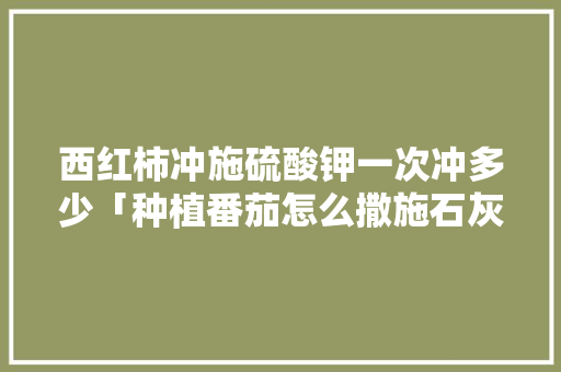 西红柿冲施硫酸钾一次冲多少「种植番茄怎么撒施石灰水」 西红柿冲施硫酸钾一次冲多少「种植番茄怎么撒施石灰水」 植物种类