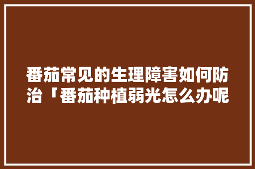 番茄常见的生理障害如何防治「番茄种植弱光怎么办呢」 番茄常见的生理障害如何防治「番茄种植弱光怎么办呢」 番茄病虫害防治