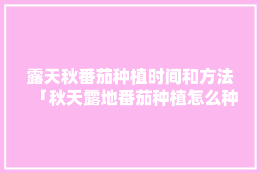 露天秋番茄种植时间和方法「秋天露地番茄种植怎么种植」