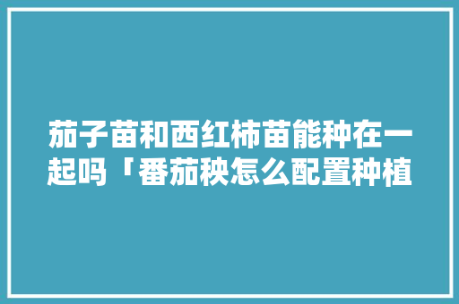 茄子苗和西红柿苗能种在一起吗「番茄秧怎么配置种植土壤」 土壤施肥 茄子苗和西红柿苗能种在一起吗「番茄秧怎么配置种植土壤」 茄子苗和西红柿苗能种在一起吗「番茄秧怎么配置种植土壤」 土壤施肥