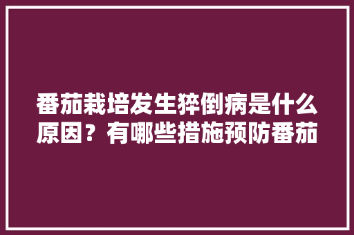 番茄栽培发生猝倒病是什么原因？有哪些措施预防番茄发生猝倒病「种番茄,最忌直接栽,第1步搞错,难怪死苗烂棵产量低」