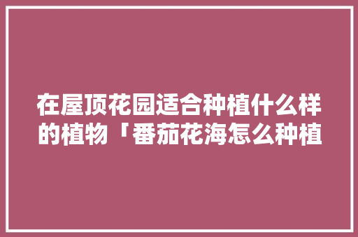 在屋顶花园适合种植什么样的植物「番茄花海怎么种植方法视频」
