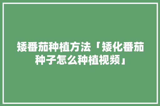 矮番茄种植方法「矮化番茄种子怎么种植视频」