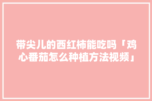 带尖儿的西红柿能吃吗「鸡心番茄怎么种植方法视频」 带尖儿的西红柿能吃吗「鸡心番茄怎么种植方法视频」 番茄种植技巧