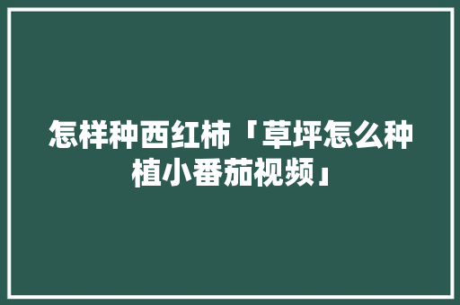 怎样种西红柿「草坪怎么种植小番茄视频」 怎样种西红柿「草坪怎么种植小番茄视频」 植物种类