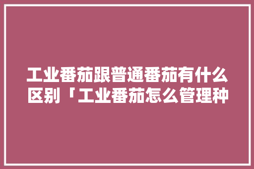工业番茄跟普通番茄有什么区别「工业番茄怎么管理种植的」 种植技巧 工业番茄跟普通番茄有什么区别「工业番茄怎么管理种植的」 工业番茄跟普通番茄有什么区别「工业番茄怎么管理种植的」 种植技巧