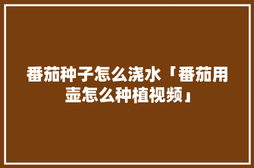 番茄种子怎么浇水「番茄用壶怎么种植视频」 番茄病虫害防治 番茄种子怎么浇水「番茄用壶怎么种植视频」 番茄种子怎么浇水「番茄用壶怎么种植视频」 番茄病虫害防治