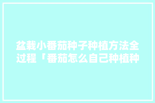 盆栽小番茄种子种植方法全过程「番茄怎么自己种植种子呢视频」 盆栽小番茄种子种植方法全过程「番茄怎么自己种植种子呢视频」 植物种类