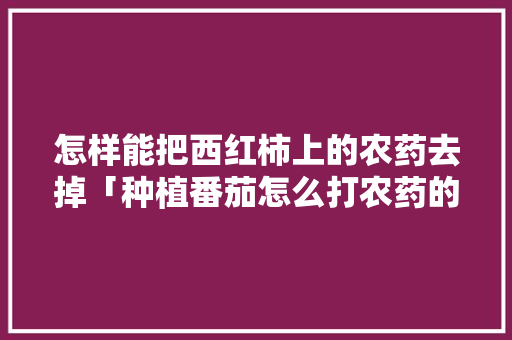 怎样能把西红柿上的农药去掉「种植番茄怎么打农药的」