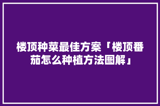 楼顶种菜最佳方案「楼顶番茄怎么种植方法图解」 楼顶种菜最佳方案「楼顶番茄怎么种植方法图解」 番茄种植技巧