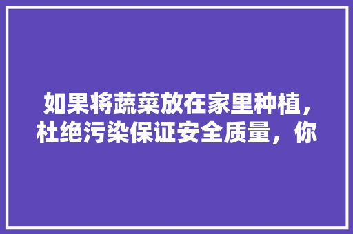 如果将蔬菜放在家里种植，杜绝污染保证安全质量，你认为可行吗「在家蔬菜种植小技巧视频」 如果将蔬菜放在家里种植，杜绝污染保证安全质量，你认为可行吗「在家蔬菜种植小技巧视频」 植物种类
