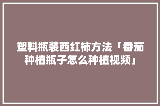 塑料瓶装西红柿方法「番茄种植瓶子怎么种植视频」