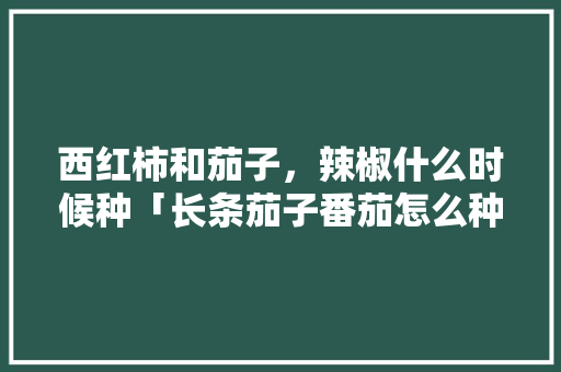 西红柿和茄子，辣椒什么时候种「长条茄子番茄怎么种植视频」 西红柿和茄子，辣椒什么时候种「长条茄子番茄怎么种植视频」 土壤施肥