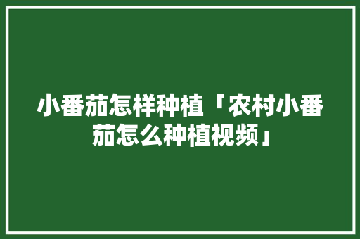 小番茄怎样种植「农村小番茄怎么种植视频」 小番茄怎样种植「农村小番茄怎么种植视频」 农业常识