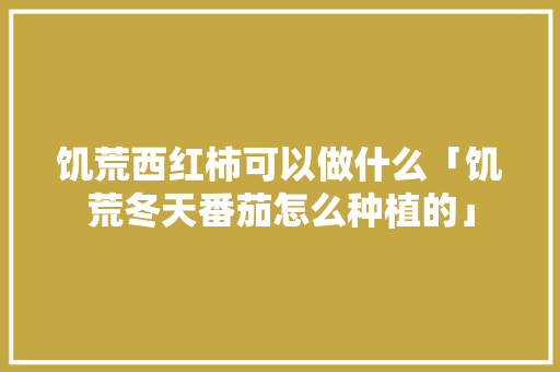 饥荒西红柿可以做什么「饥荒冬天番茄怎么种植的」 农业常识 饥荒西红柿可以做什么「饥荒冬天番茄怎么种植的」 饥荒西红柿可以做什么「饥荒冬天番茄怎么种植的」 农业常识