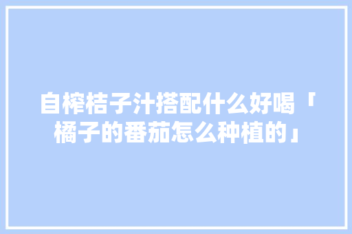 自榨桔子汁搭配什么好喝「橘子的番茄怎么种植的」