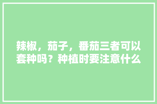 辣椒，茄子，番茄三者可以套种吗？种植时要注意什么问题「番茄和茄子怎么种植的视频」 辣椒，茄子，番茄三者可以套种吗？种植时要注意什么问题「番茄和茄子怎么种植的视频」 番茄病虫害防治