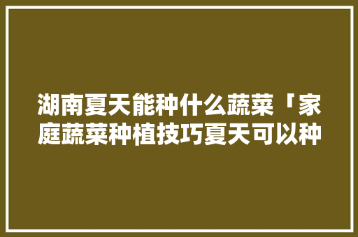 湖南夏天能种什么蔬菜「家庭蔬菜种植技巧夏天可以种吗」 湖南夏天能种什么蔬菜「家庭蔬菜种植技巧夏天可以种吗」 番茄病虫害防治