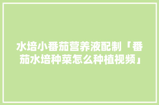 水培小番茄营养液配制「番茄水培种菜怎么种植视频」 水培小番茄营养液配制「番茄水培种菜怎么种植视频」 农业常识