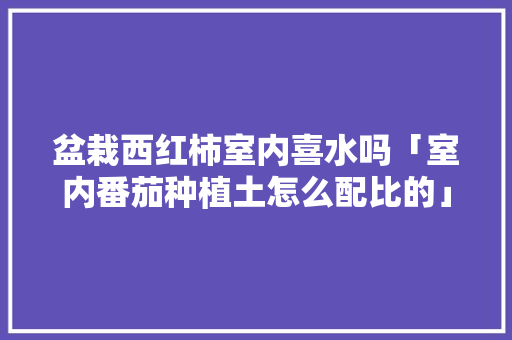 盆栽西红柿室内喜水吗「室内番茄种植土怎么配比的」 盆栽西红柿室内喜水吗「室内番茄种植土怎么配比的」 植物种类