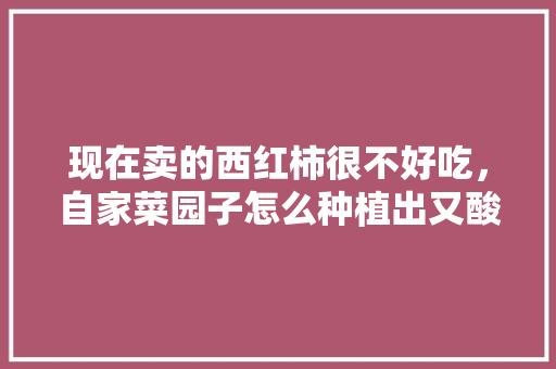 现在卖的西红柿很不好吃，自家菜园子怎么种植出又酸又甜的西红柿呢「番茄怎么种植口感甜的」 现在卖的西红柿很不好吃，自家菜园子怎么种植出又酸又甜的西红柿呢「番茄怎么种植口感甜的」 植物种类