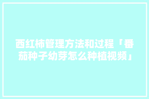 西红柿管理方法和过程「番茄种子幼芽怎么种植视频」 西红柿管理方法和过程「番茄种子幼芽怎么种植视频」 植物种类