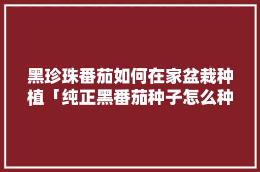 黑珍珠番茄如何在家盆栽种植「纯正黑番茄种子怎么种植的」 黑珍珠番茄如何在家盆栽种植「纯正黑番茄种子怎么种植的」 农业常识