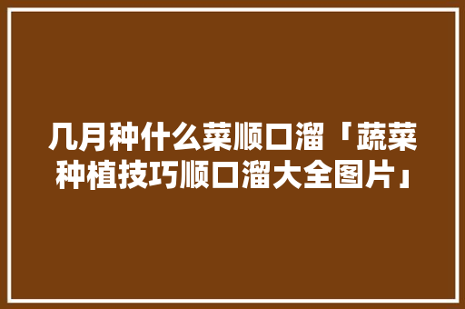 几月种什么菜顺口溜「蔬菜种植技巧顺口溜大全图片」