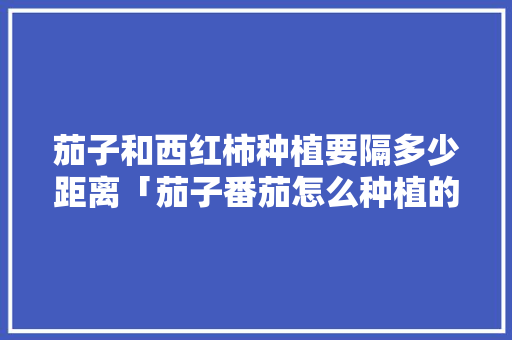 茄子和西红柿种植要隔多少距离「茄子番茄怎么种植的视频」