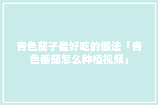 青色茄子最好吃的做法「青色番茄怎么种植视频」