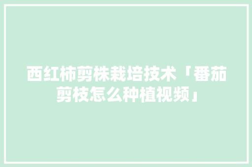西红柿剪株栽培技术「番茄剪枝怎么种植视频」 西红柿剪株栽培技术「番茄剪枝怎么种植视频」 花朵知识