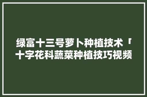 绿富十三号萝卜种植技术「十字花科蔬菜种植技巧视频」