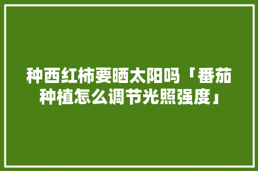 种西红柿要晒太阳吗「番茄种植怎么调节光照强度」 种西红柿要晒太阳吗「番茄种植怎么调节光照强度」 土壤施肥