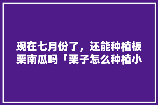 现在七月份了，还能种植板栗南瓜吗「栗子怎么种植小番茄视频教程」