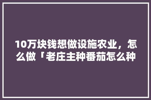 10万块钱想做设施农业，怎么做「老庄主种番茄怎么种植视频」 10万块钱想做设施农业，怎么做「老庄主种番茄怎么种植视频」 土壤施肥